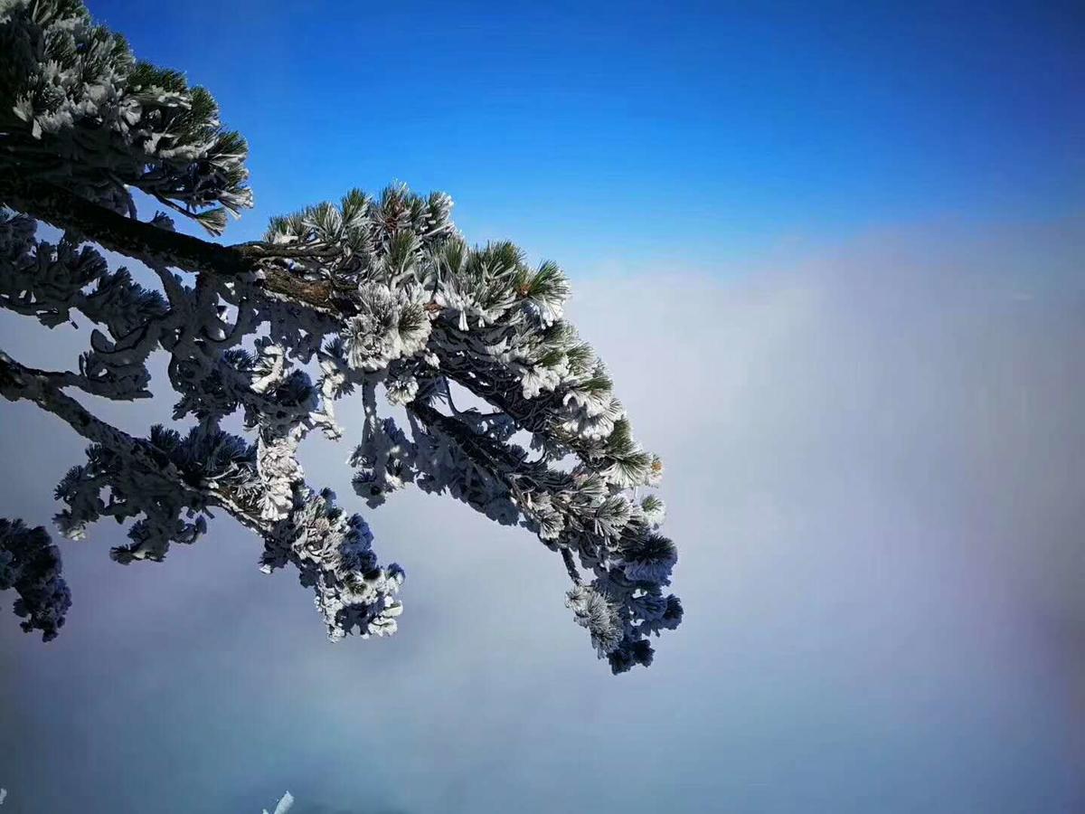 Joymoon Hotel Huang Shan Eksteriør bilde